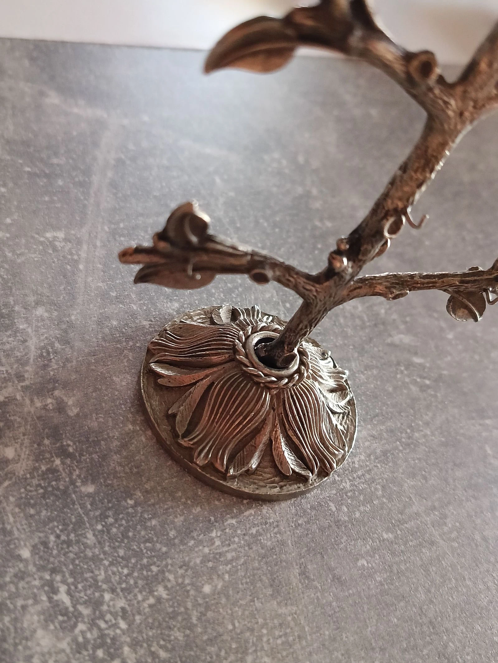 Vintage genealogische fotoboom – photo 7